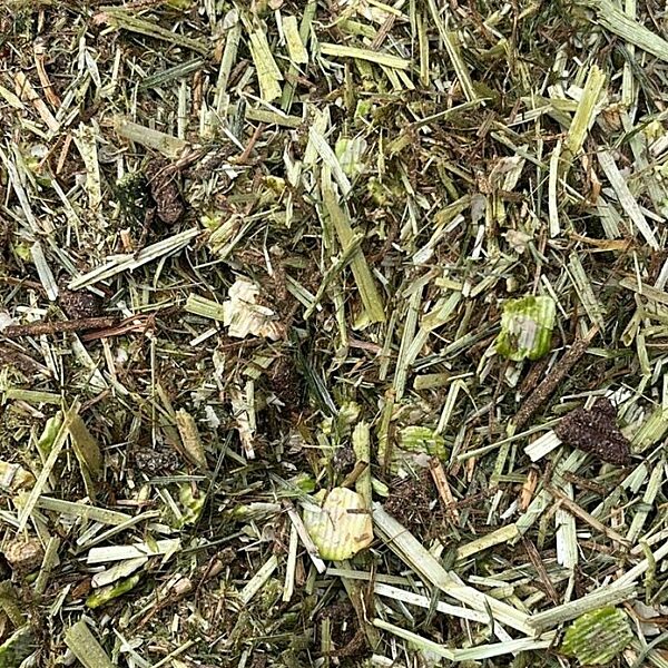 a picture of Chestnut Peak Condition horse feed